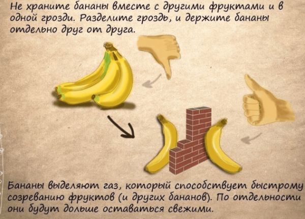 Все хитрости долгого хранения бананов