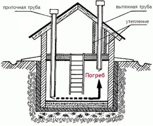 Средства, которые помогут избавиться от плесени в погребе или подвале