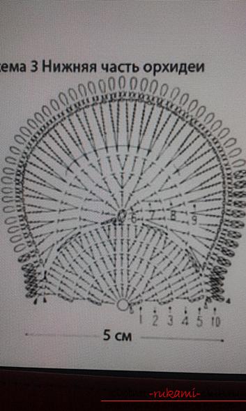 Орхидеи крючком со схемами и описанием: мастер-класс с видео
