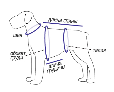 Вязаная одежда для йорка своими руками с выкройками: мастер-класс с видео