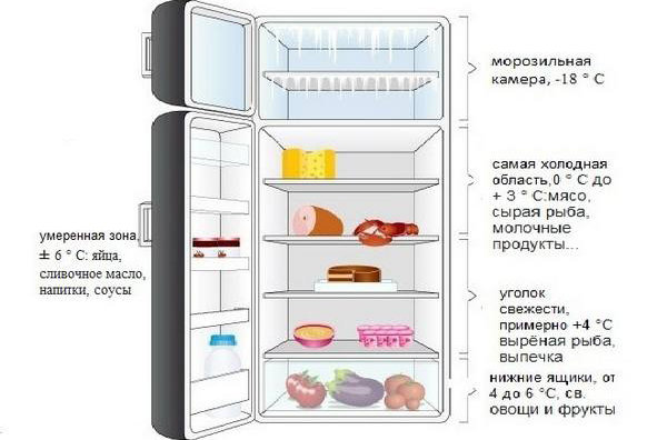 Какая температура должна быть в холодильной и морозильной камере